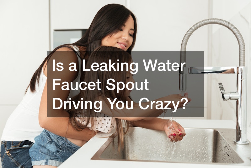 Is a Leaking Water Faucet Spout Driving You Crazy?