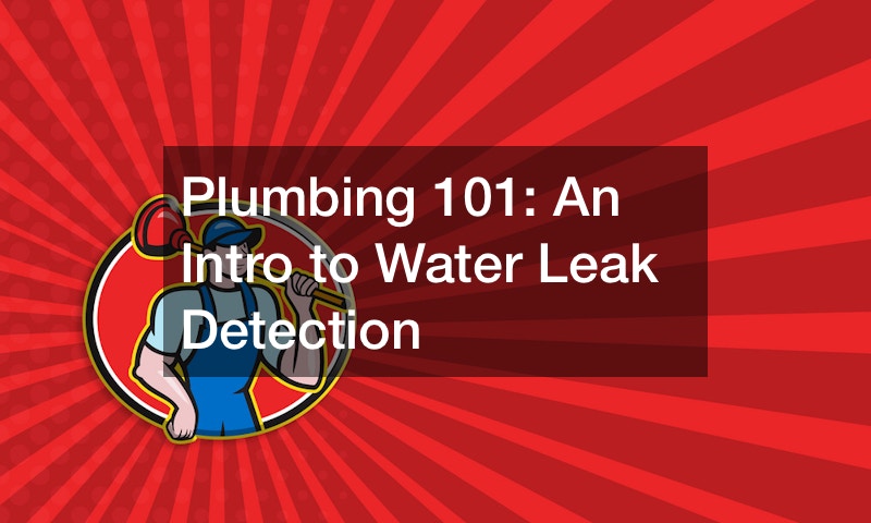 Plumbing 101  An Intro to Water Leak Detection