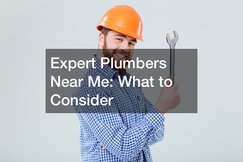 Expert Plumbers Near Me  What to Consider