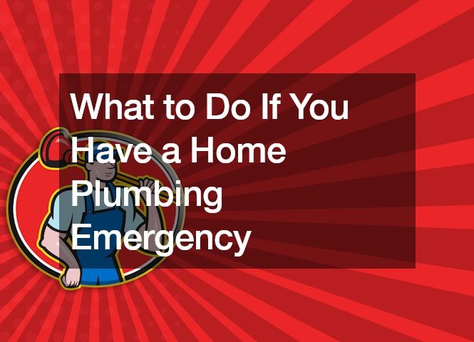 What to Do If You Have a Home Plumbing Emergency