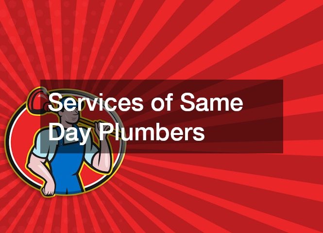 Services of Same Day Plumbers