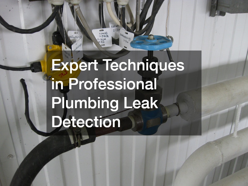 Expert Techniques in Professional Plumbing Leak Detection