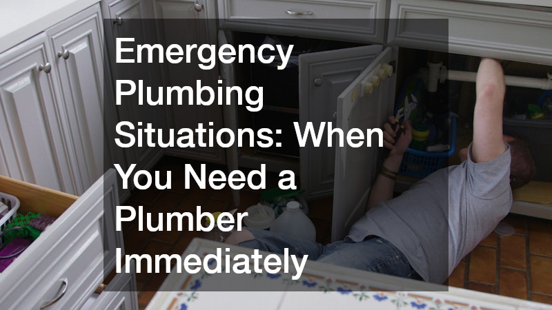 Emergency Plumbing Situations  When You Need a Plumber Immediately