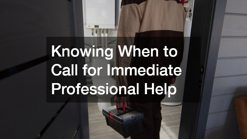 Knowing When to Call for Immediate Professional Help